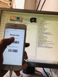 12317484429044400459.jpg