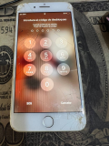 62956664308003544831.jpg